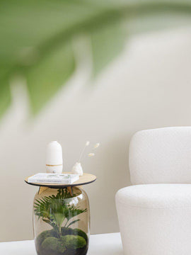 Terrarium-Tisch mit echter Livistona Palme↑45Cm / Ø33Cm