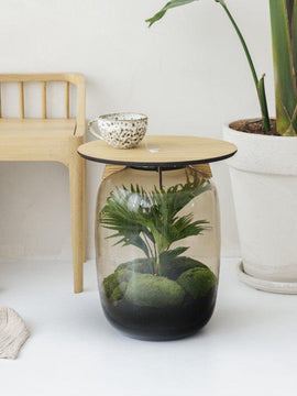 Terrarium-Tisch mit echter Livistona Palme↑45Cm / Ø33Cm